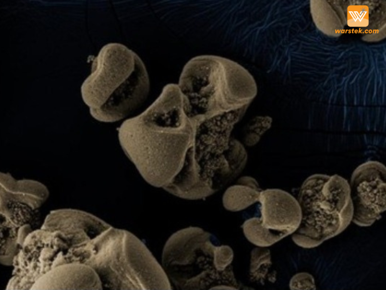 Biomining: Logam dengan Mikroorganisme Ramah Lingkungan