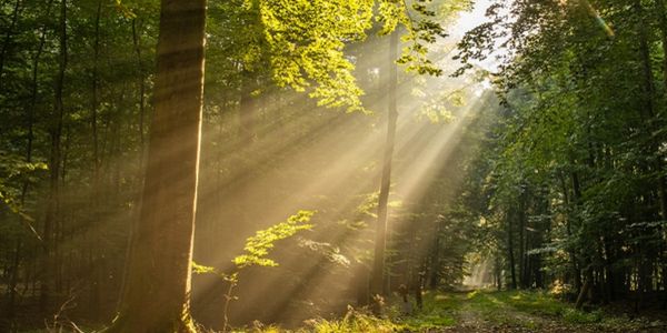 Cahaya bentuk energi yang bergerak dalam gelombang