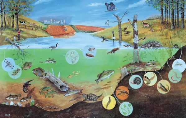 Ekosistem: Kehidupan yang Menjaga Keseimbangan Bumi