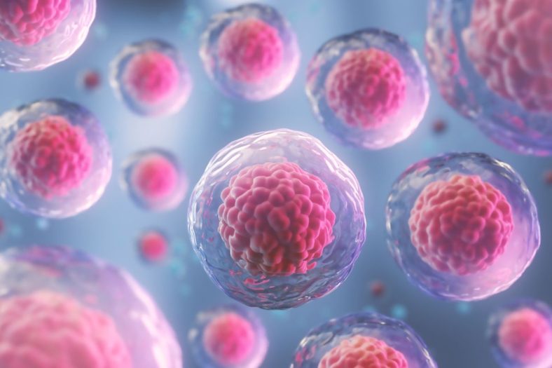 Penelitian Sel Punca untuk Regenerasi Organ