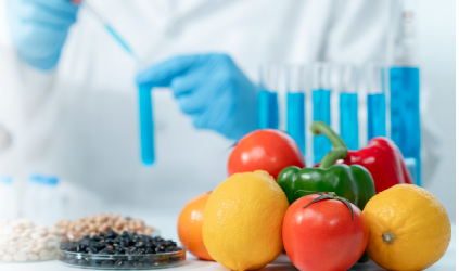 Sains Komputasi: Pilar Utama Penelitian Modern dan Era Digital