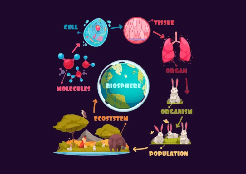 Mengungkap Mekanisme Kehidupan dari Tingkat Terkecil