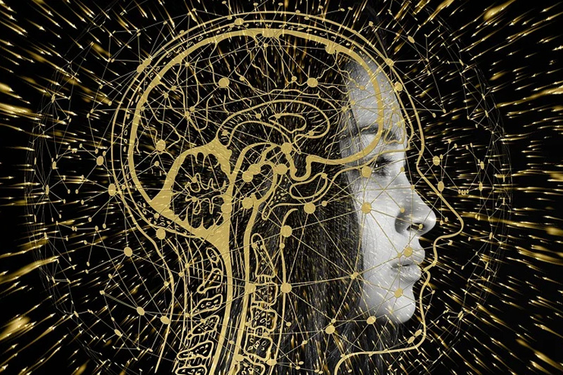 Genetika Modern: Memahami Pewarisan Sifat dan Masa Depan