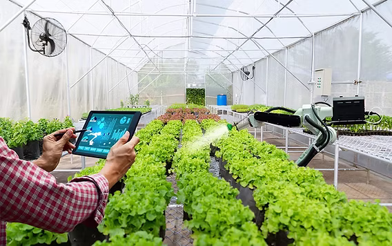 Pencapaian besar pertanian modern penggunaan benih unggul