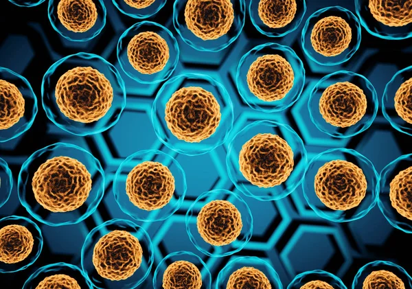 Pengembangan Sel Punca untuk Regenerasi Jantung