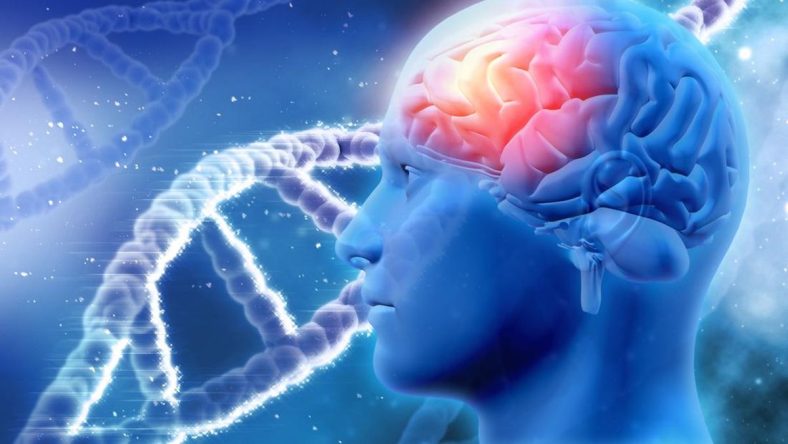 Neuromatematika dan Pengambilan Keputusan