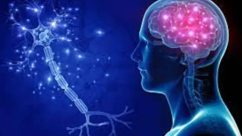 Temuan Neurologi Terbaru