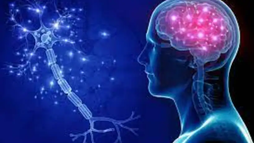 Temuan Neurologi Terbaru