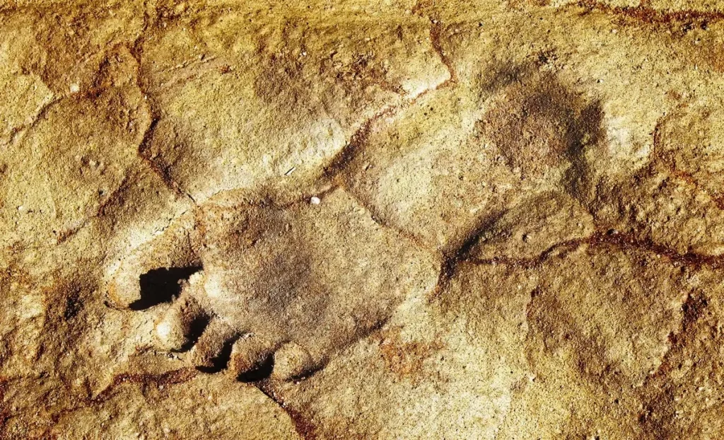 Jejak Kaki Purba Berusia Jutaan Tahun