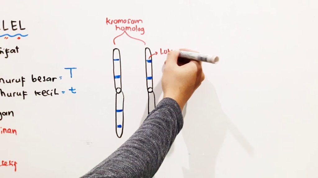 Genetika Modern: Memahami Pewarisan Sifat dan Masa Depan