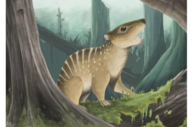 Penemuan Mamalia Baru: Dari Primata Mini hingga Rodensia Unik